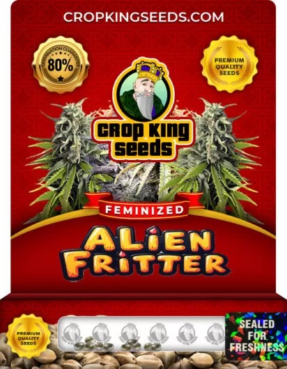 alien fritter-image